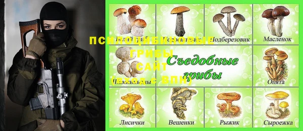 винт Абаза